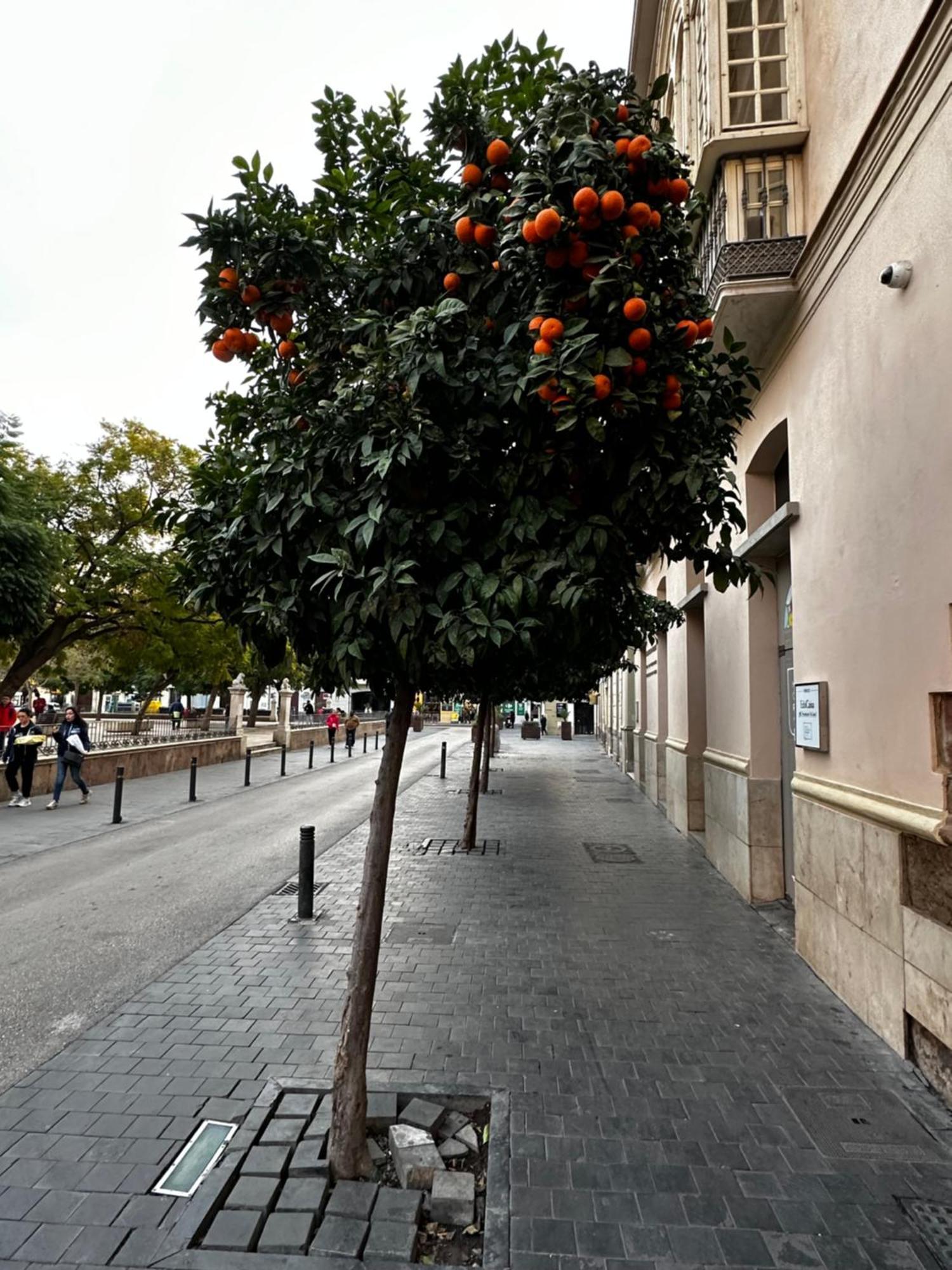 Malaga'S Secret Lejlighed Eksteriør billede